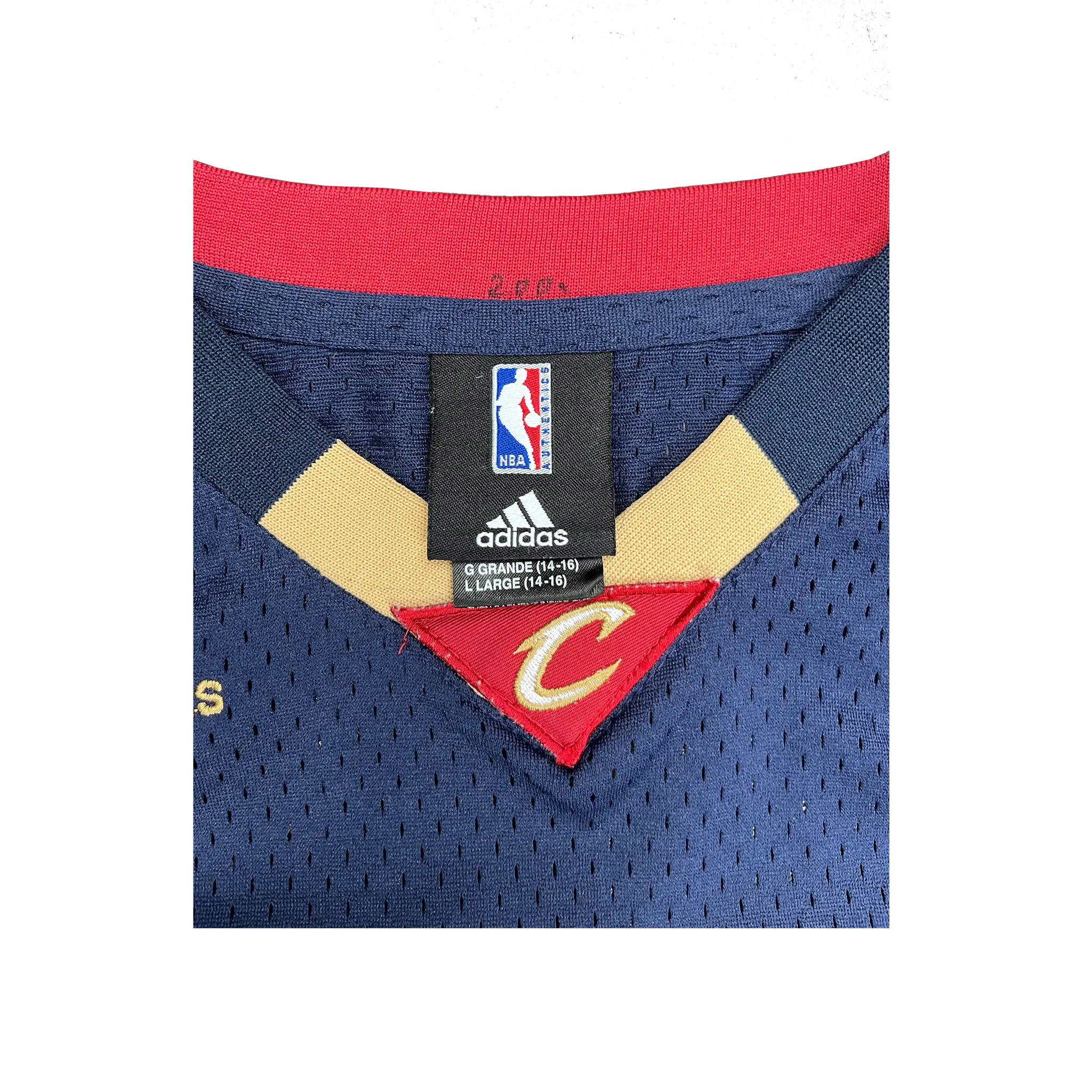 Vintage Lebron James Cleveland Cavaliers Jersey Detail